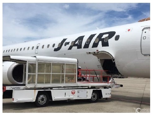 JALとルーフィ、空陸一貫で特産品を届ける新輸送サービスを6月17日より提供