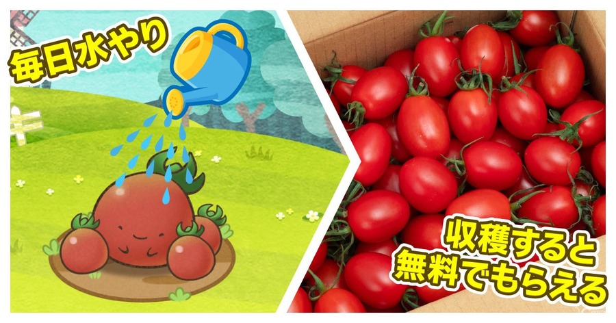 お買い物アプリ「カウシェ」、累計800万ダウンロードを突破　農園ゲームで育てた野菜が無料で届く仕組みが物価高で支持