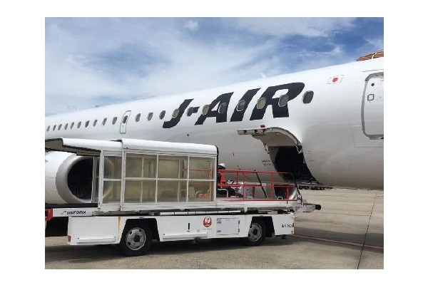 JALとルーフィ、空陸一貫で特産品を届ける新輸送サービスを6月17日より提供 画像